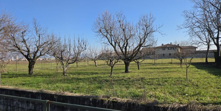 IMG-20260121-WA0005